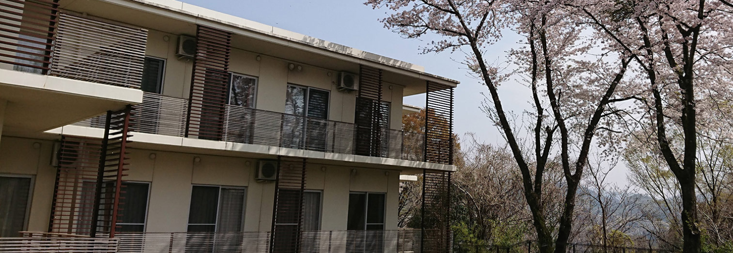 桜並木のある施設外観