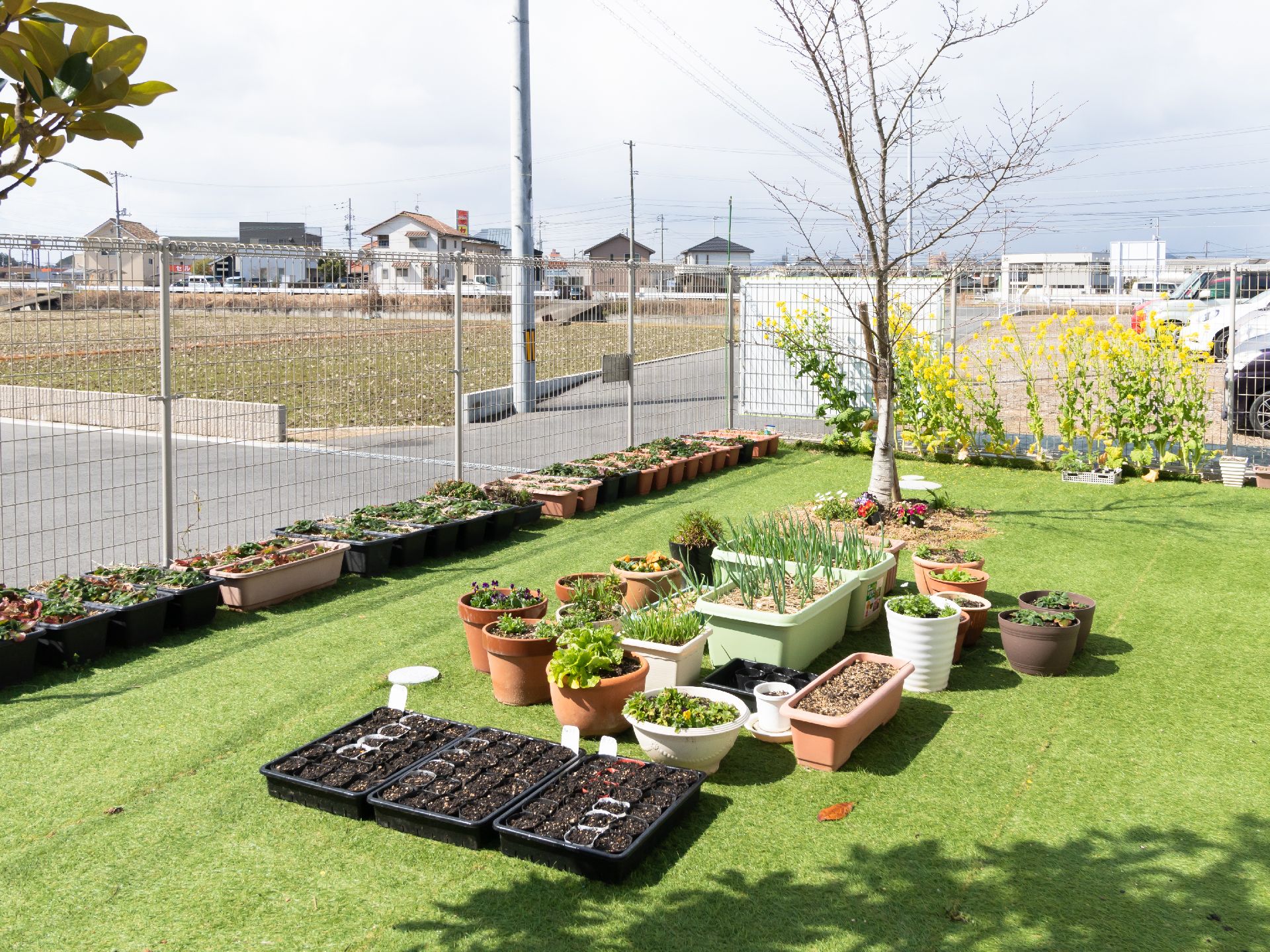 芝生の庭にプランターやレンガの鉢植えがきれいに並べられている。