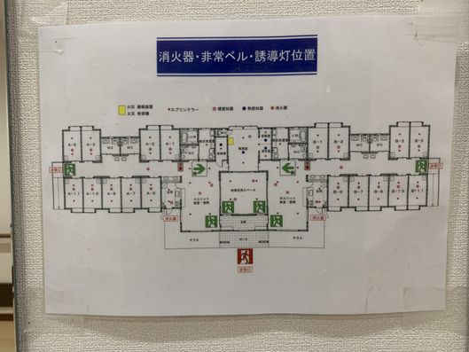 掲示物