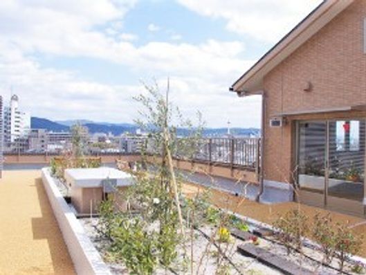 屋上庭園