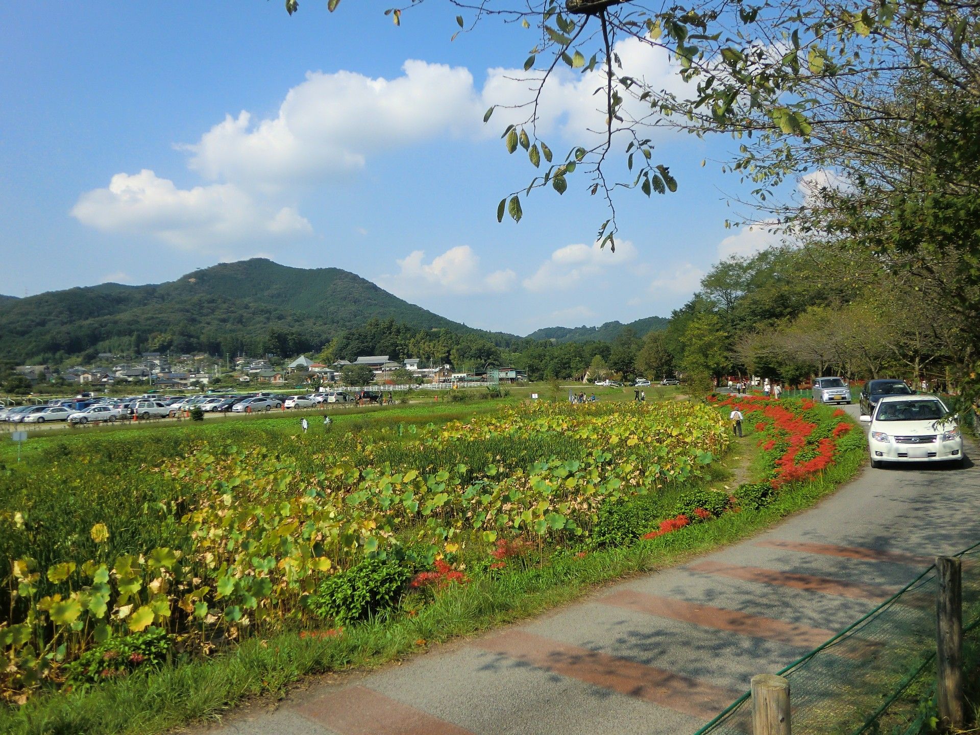 風景と散策路