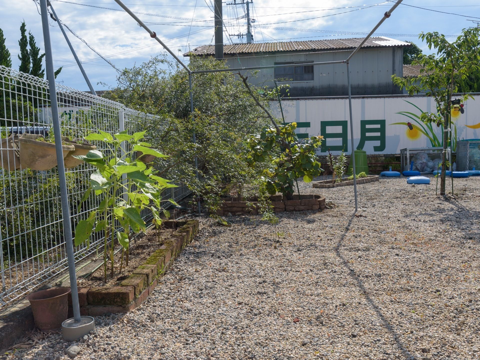 フェンスで囲まれた庭に花壇が複数並び、植物が生い茂っている。フェンスには、植物の植えられた植木鉢がいくつか吊り下げられている。