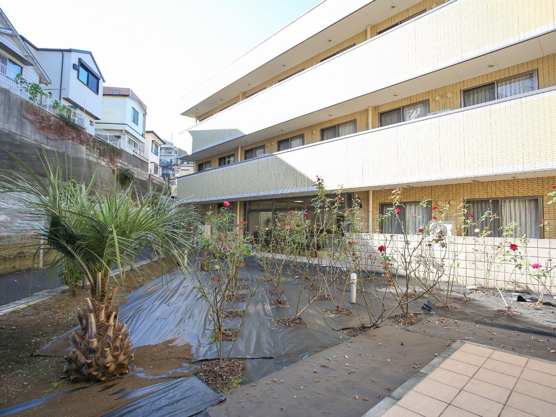 花や植物が植えられている庭