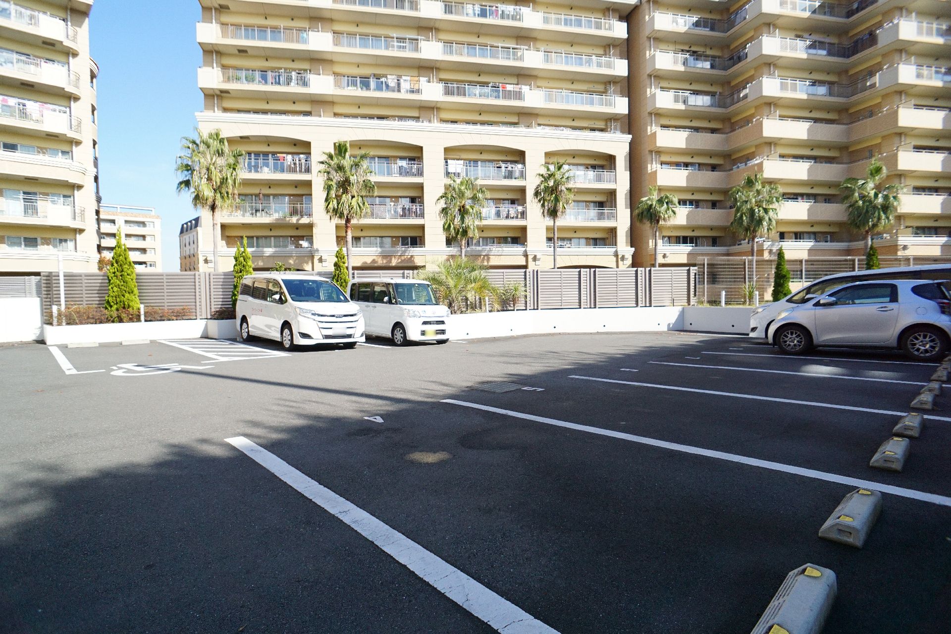 車が数台停まっている駐車場