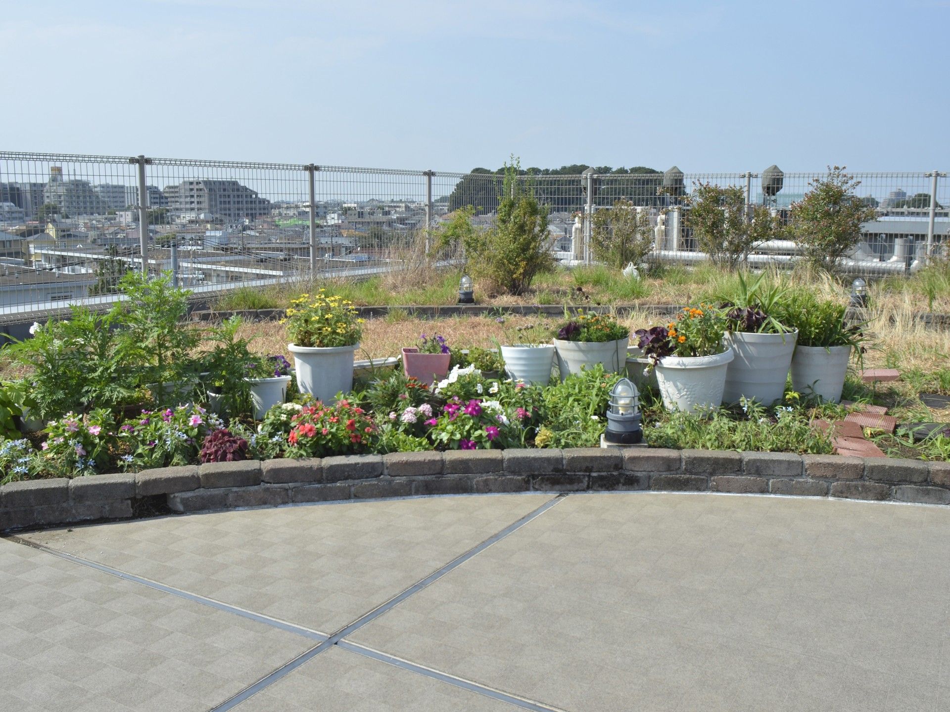 色とりどりの花壇