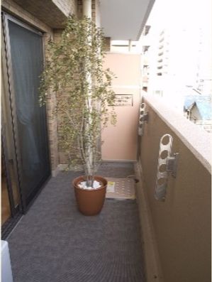 居室・ベランダ