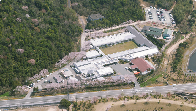 桜に囲まれた施設全景