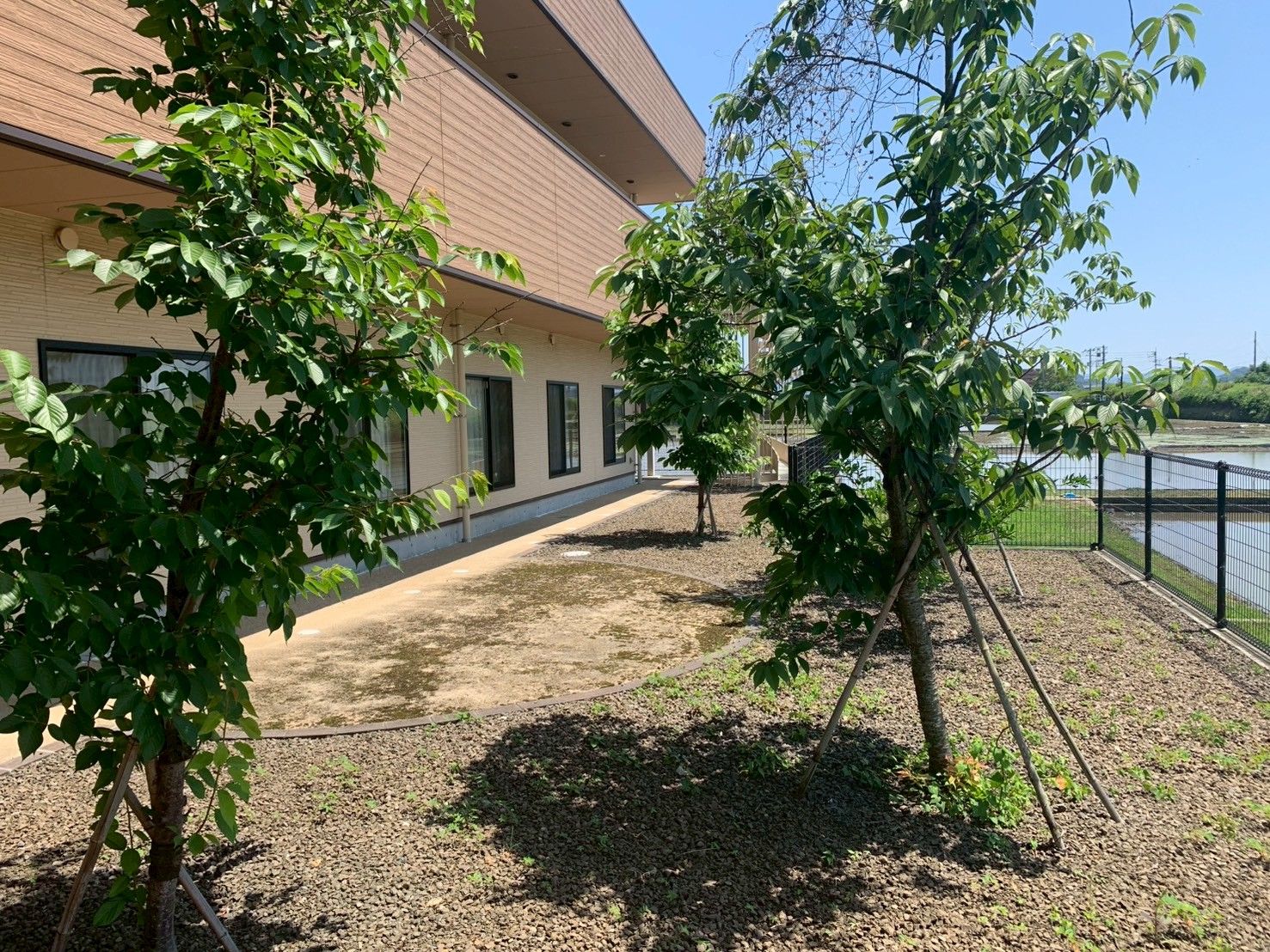 緑豊かな庭の風景