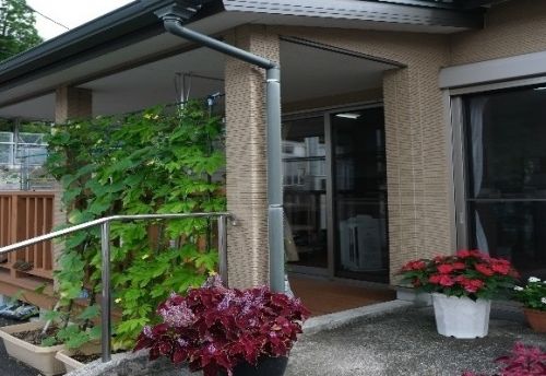 和やかな雰囲気のエントランス
