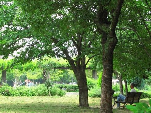 「くすのきコート」の周辺環境。子供達やお母さん方の、集い場所になっている。