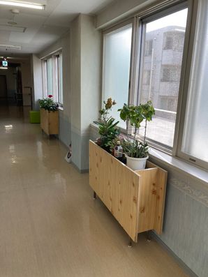 廊下