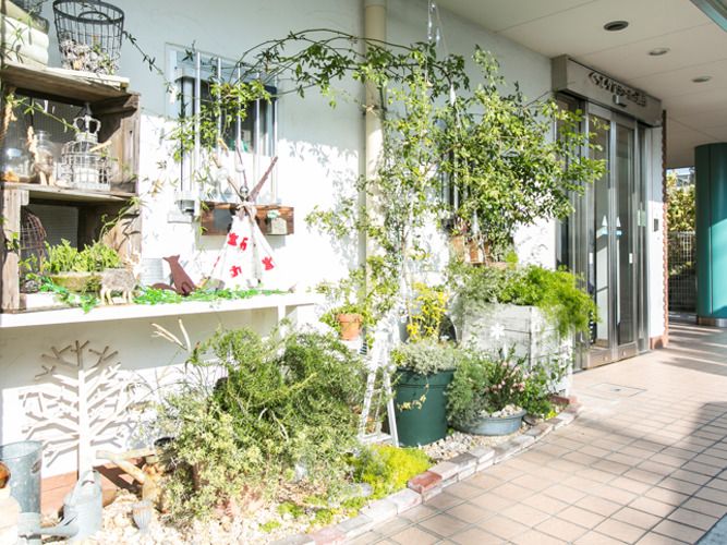 車いすの女性と同じ視線で話している介護スタッフ。やわらかい表情で散歩している様子