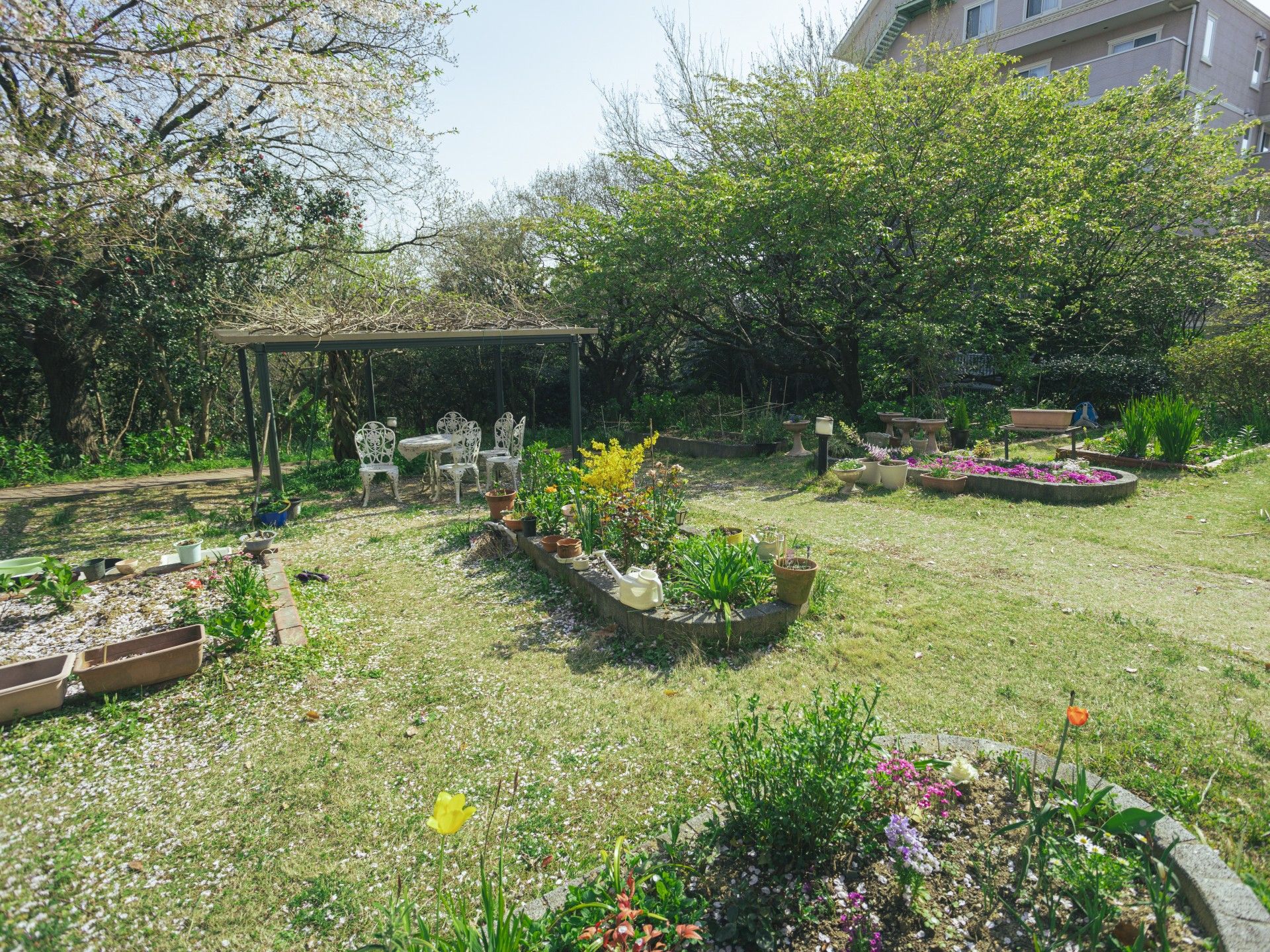 緑豊かな庭園