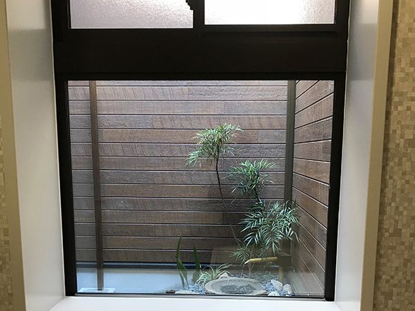 部屋の中から眺められる小さな中庭。緑の植物がいくつか植えてある様子