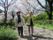 桜の下で笑顔の二人