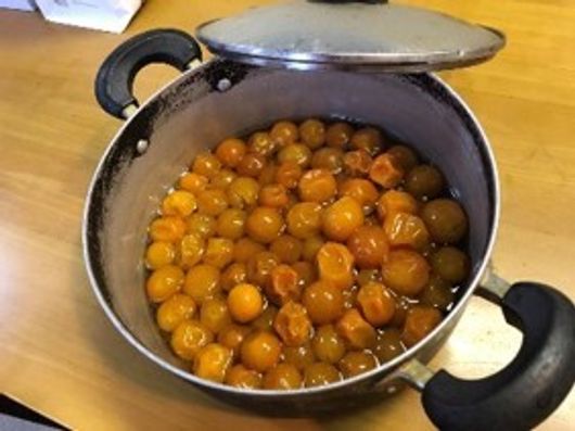 レクリエーション