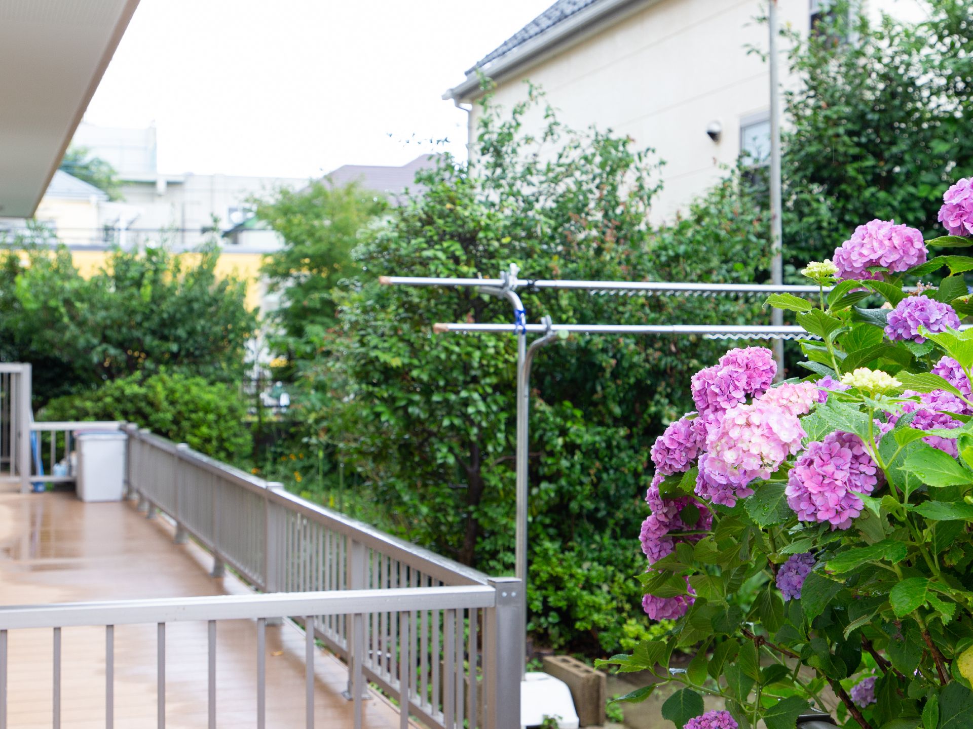 雨季に咲く色鮮やかな花が咲いているベランダ横の植え込み