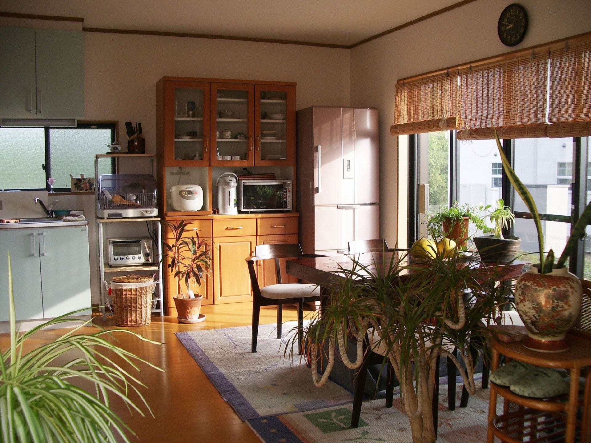 観葉植物がたくさん置かれているリビングダイニング。炊飯器や冷蔵庫、食器棚、テーブルセットがあり家庭的な雰囲気。