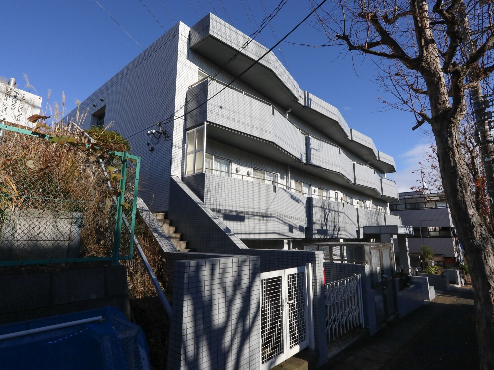 薄いグレーの３階建ての建物が奥に見えている。大きなイチョウの木が右手に並んでいる。中央に門扉があり、閉められている。