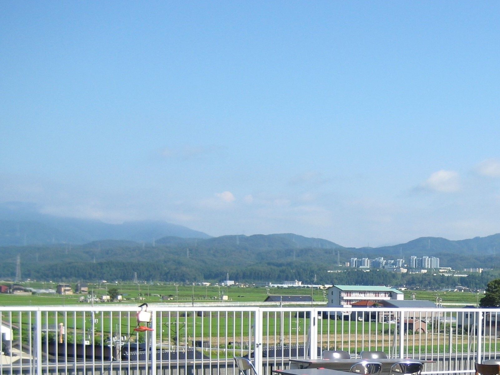 屋上からは広大な緑を眺めることができる