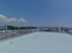 広々とした屋上庭園の風景
