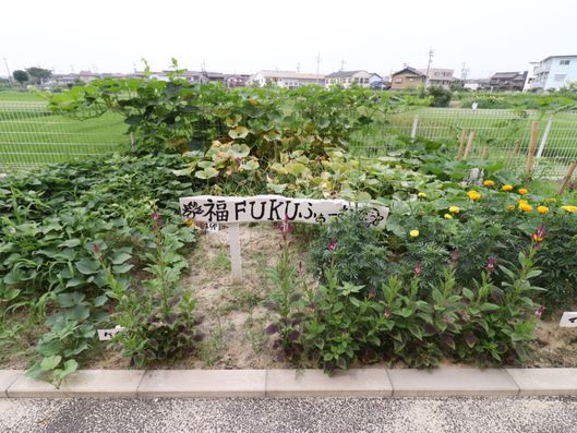 ミニファーム