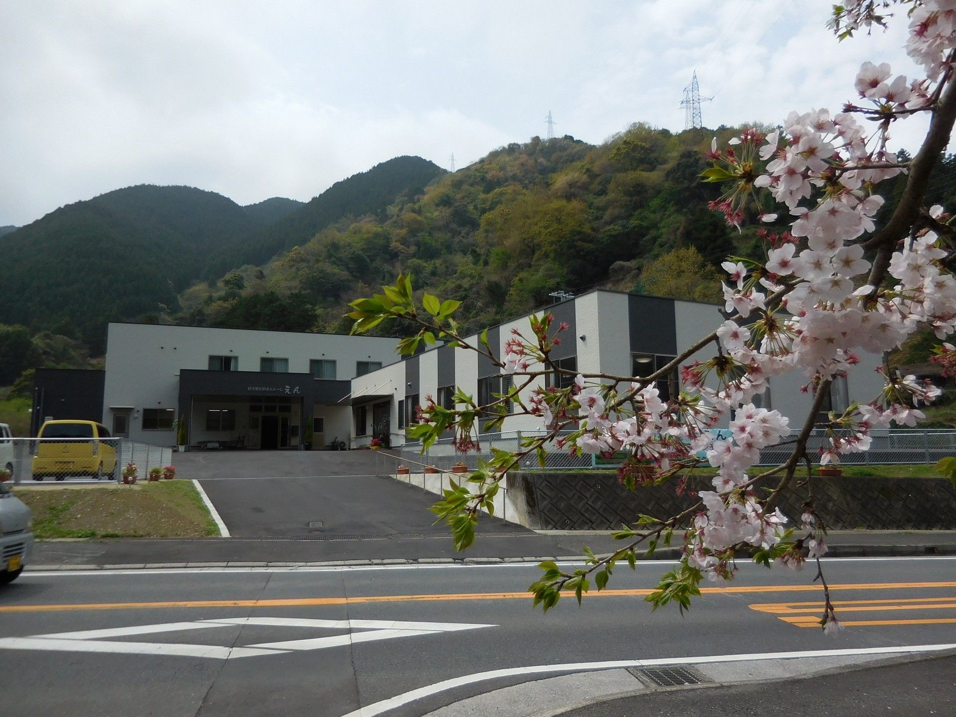 桜が咲く建物の外観