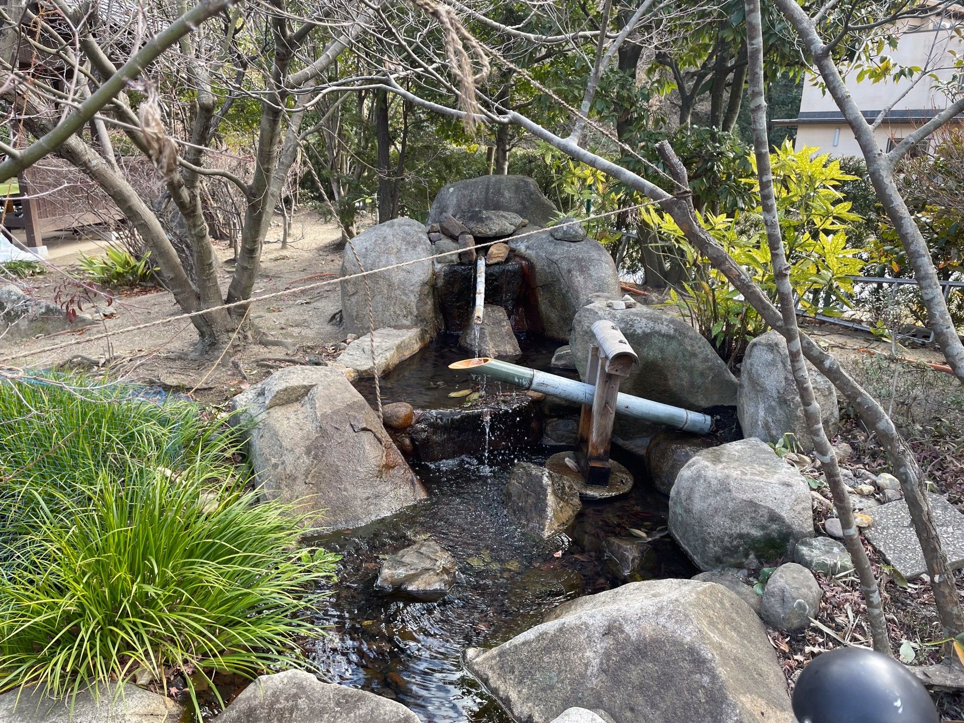 自然豊かな庭園