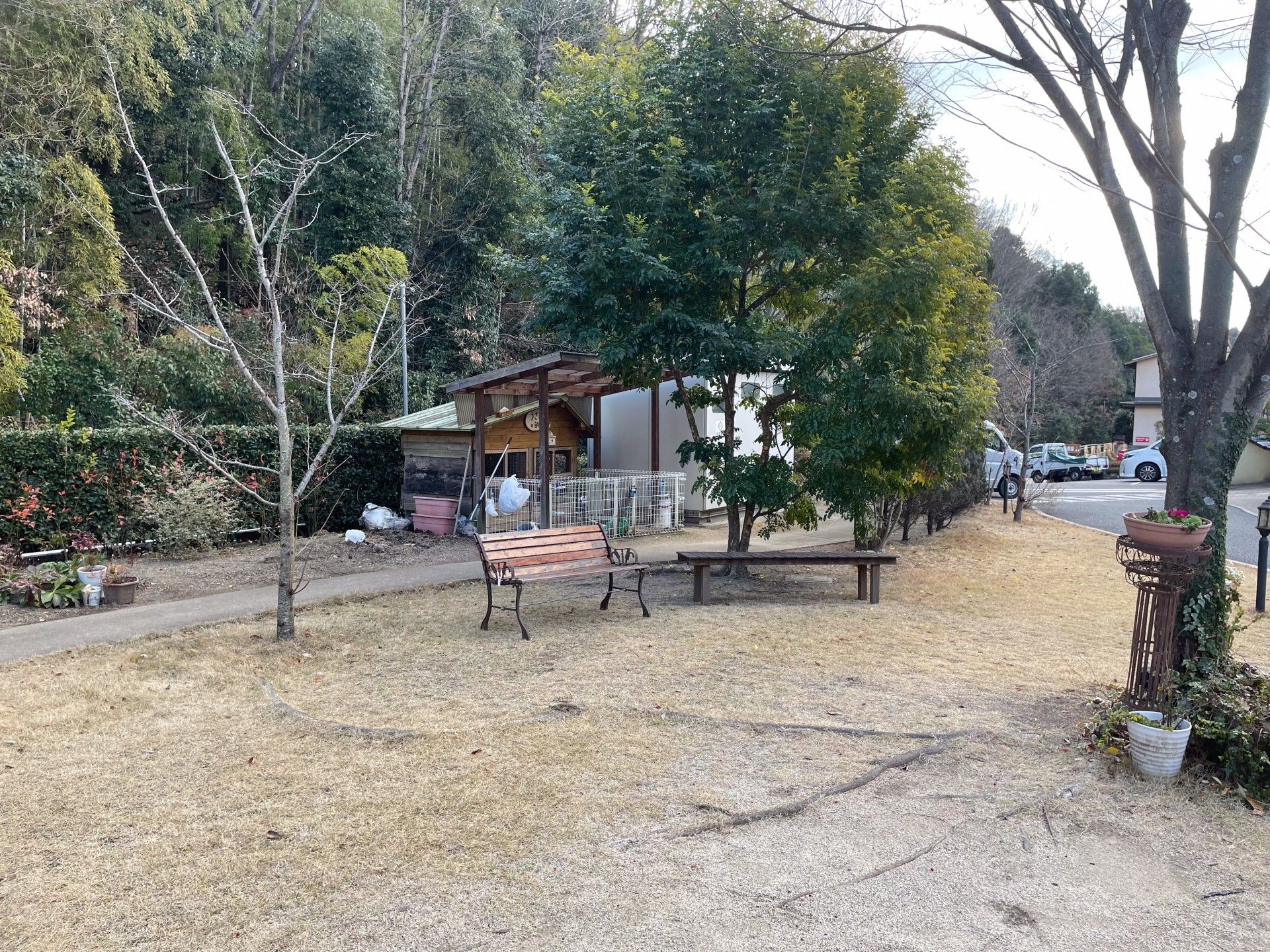 緑豊かな庭のベンチ