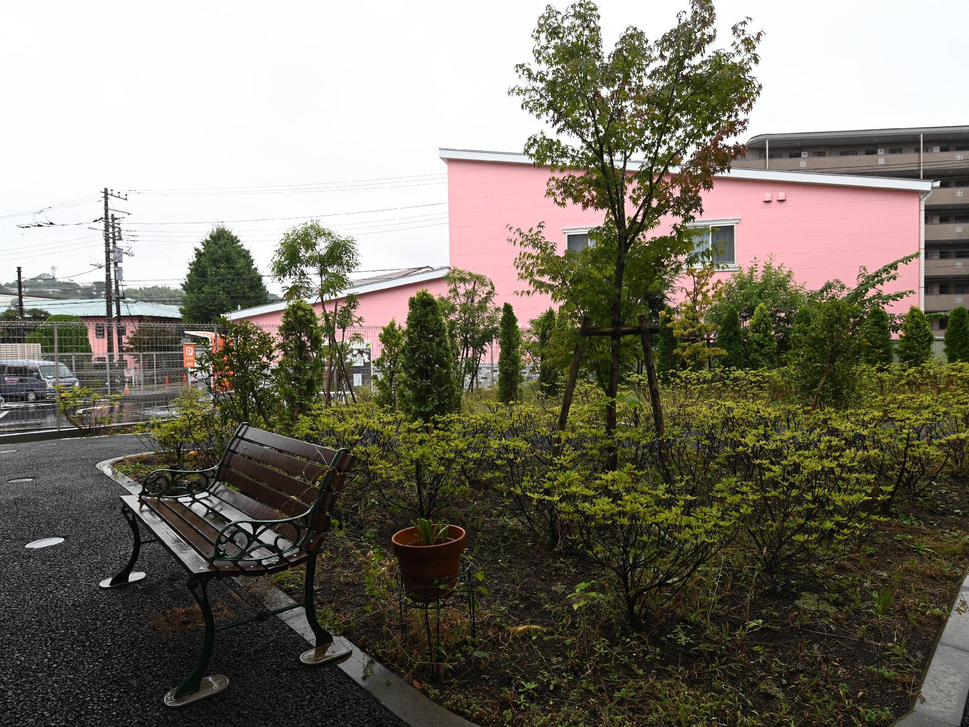 ベンチを設置した庭園