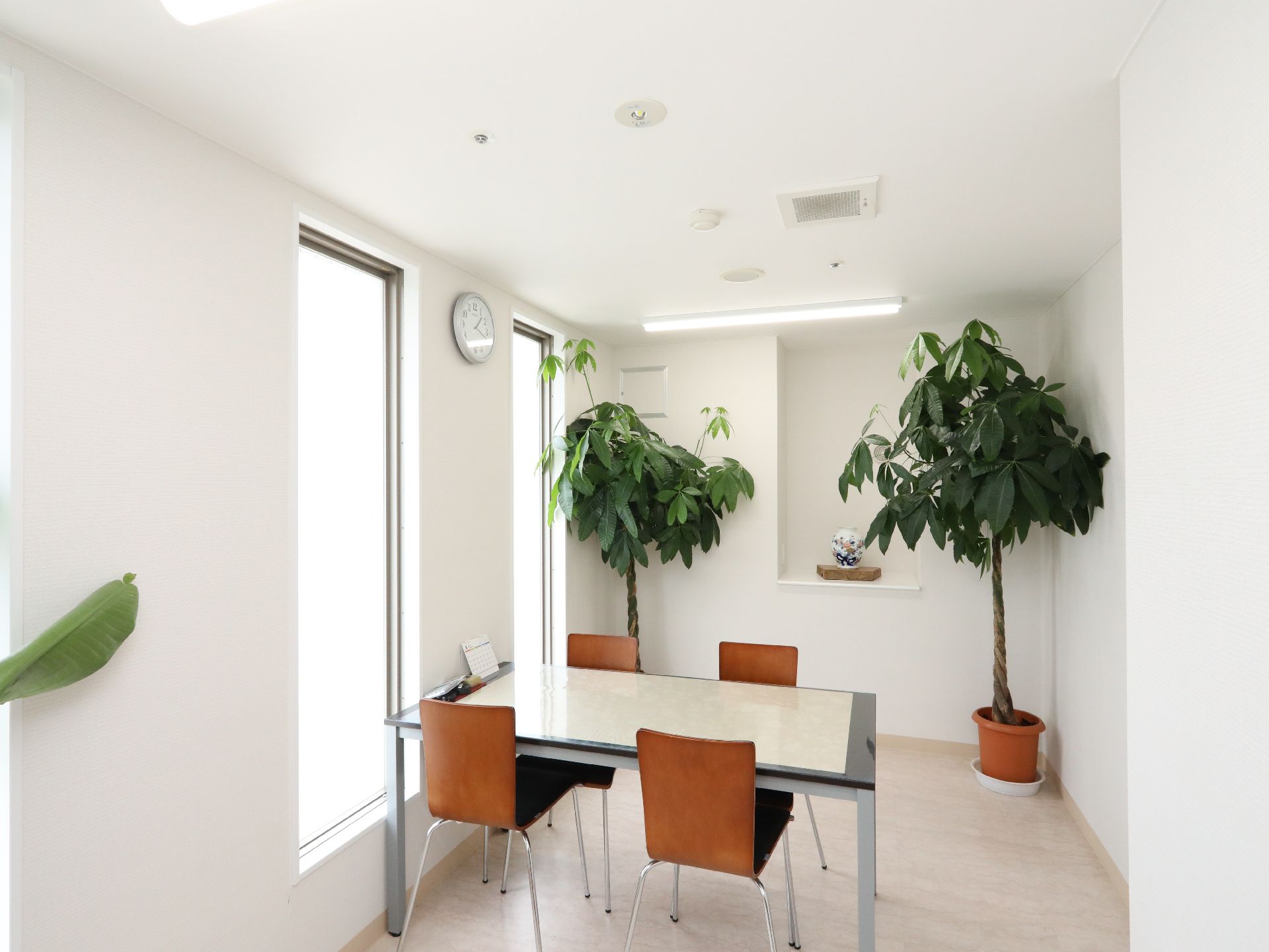 白い壁際に緑濃い観葉植物が設置され、テーブルセットが置かれた相談室