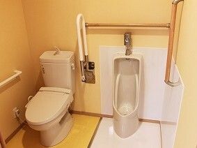 男性用の小便器が右側に、洋式のトイレが左側にあり、壁には縦横に手すりが付いている。