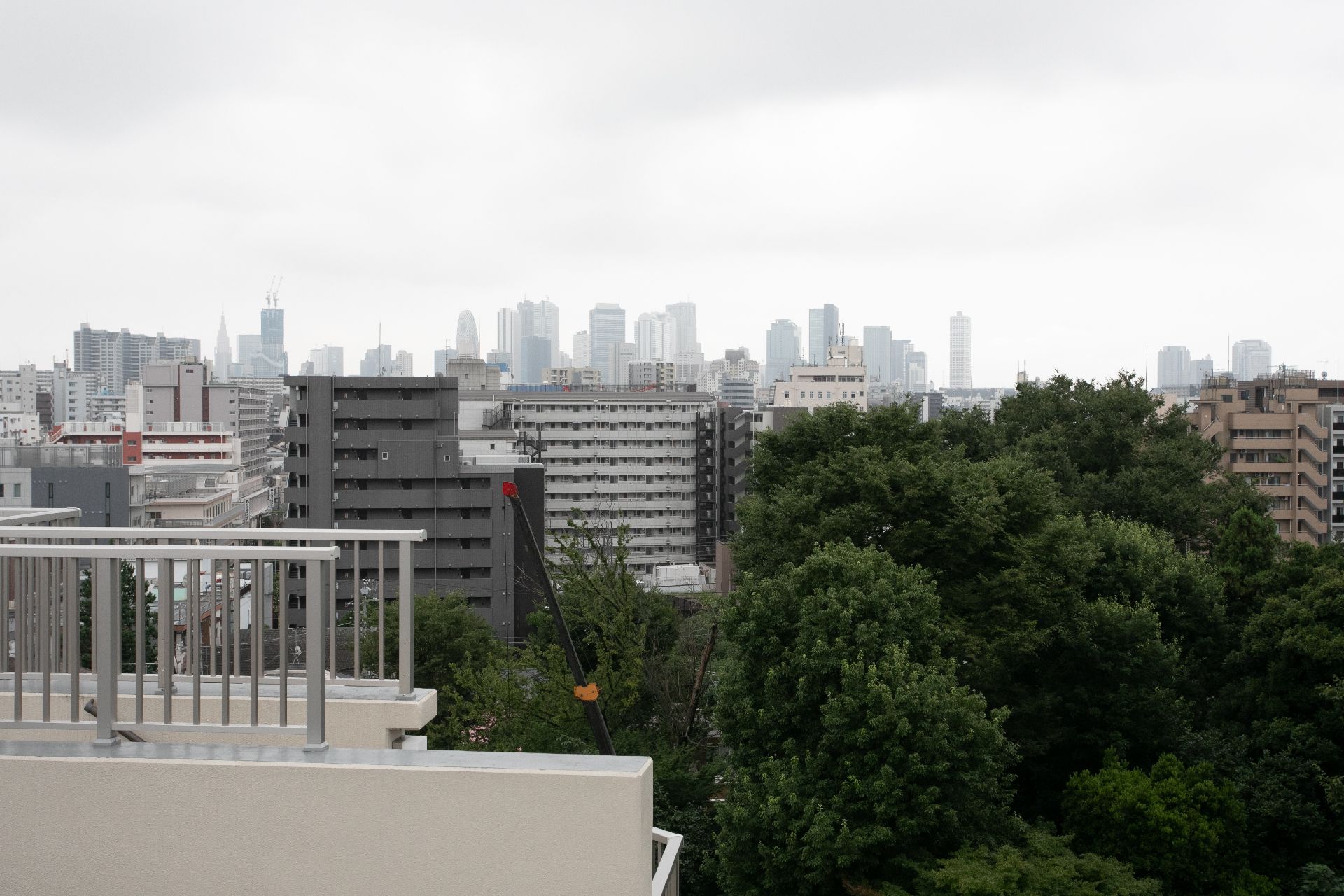 都市の風景を楽しむことができ、緑の木々も見える屋上からの眺め