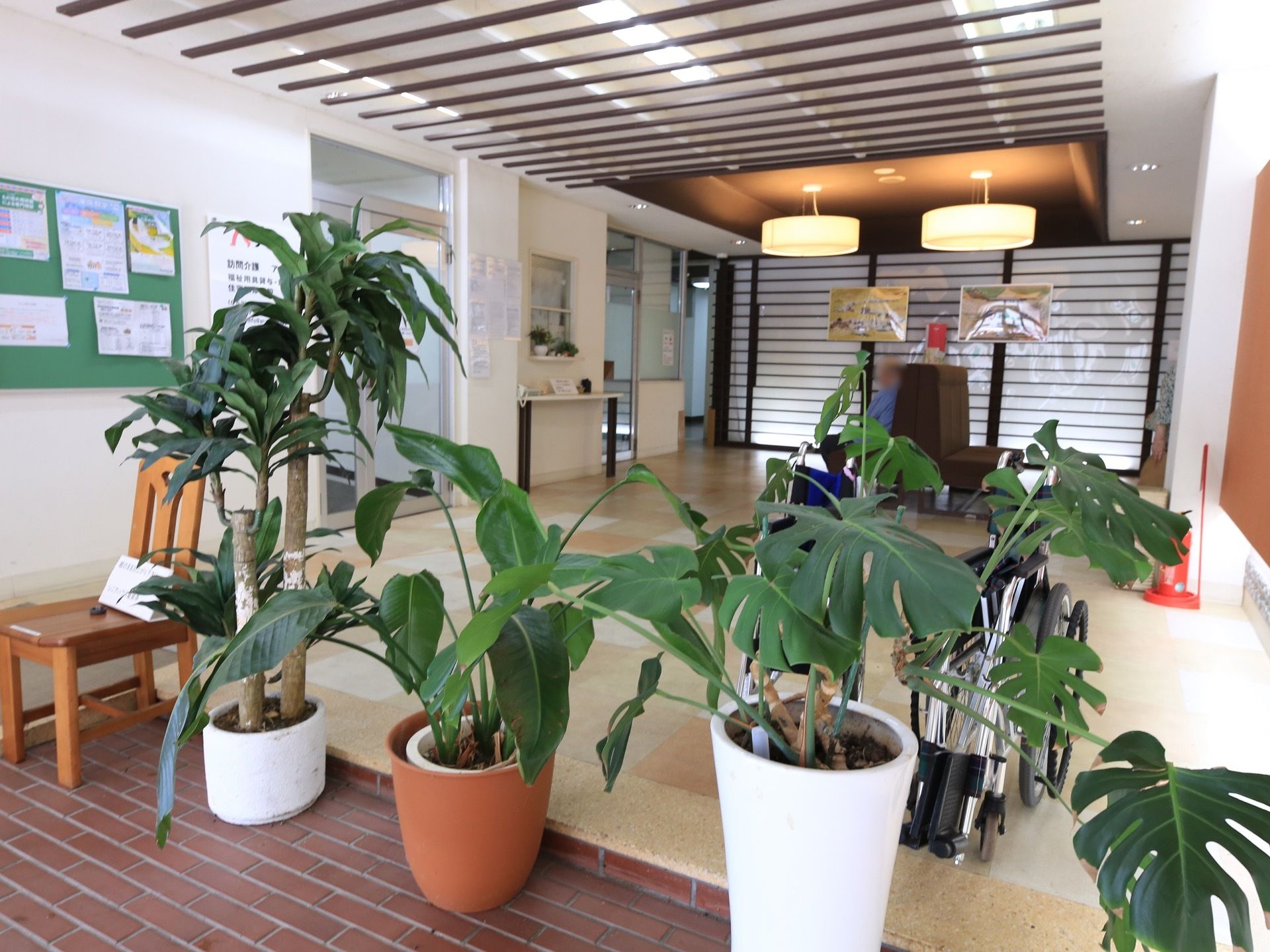 エントランスの端に、鉢植えの大きな観葉植物が並べられている。隣には折りたたまれた車椅子が２台、置かれている。