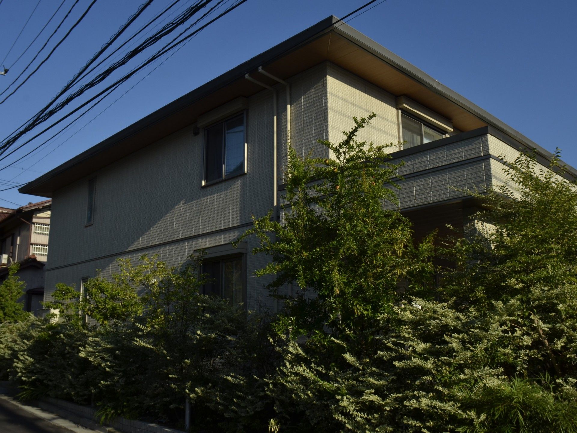 緑に囲まれた建物外観