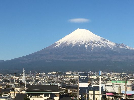 居室からの風景（301号室）
