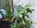 プランターに植えられた植物が２つ並べて置かれている。施設外壁は、ベージュを基調とした凹凸のあるデザインとなっている