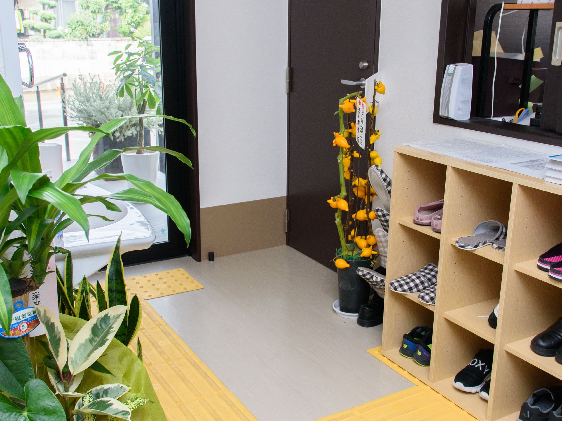 格子状の下駄箱や観葉植物が置かれ、点字ブロックが敷かれた玄関