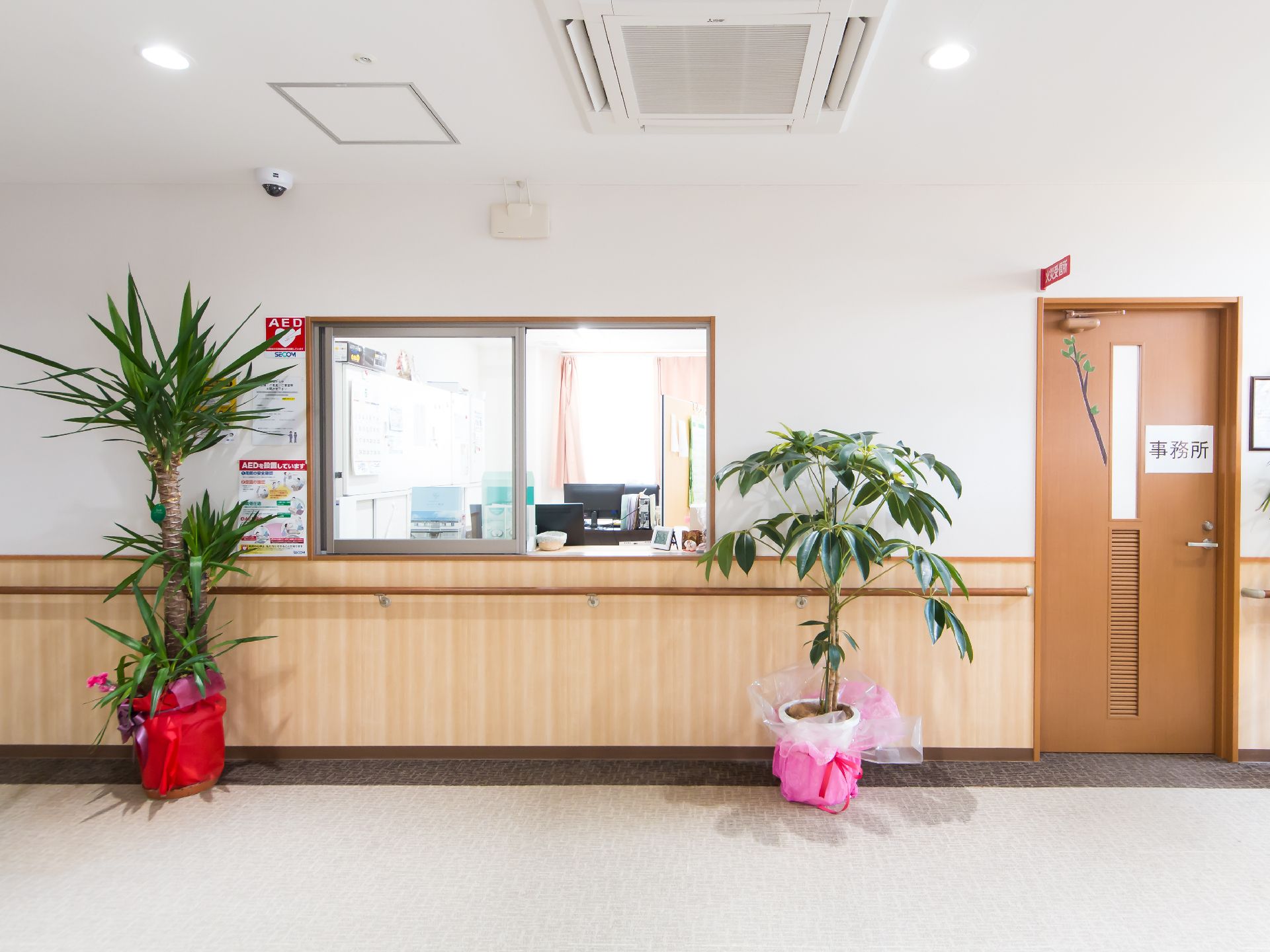 観葉植物が置かれ、スタッフのいる事務所とつながる窓が設置された廊下
