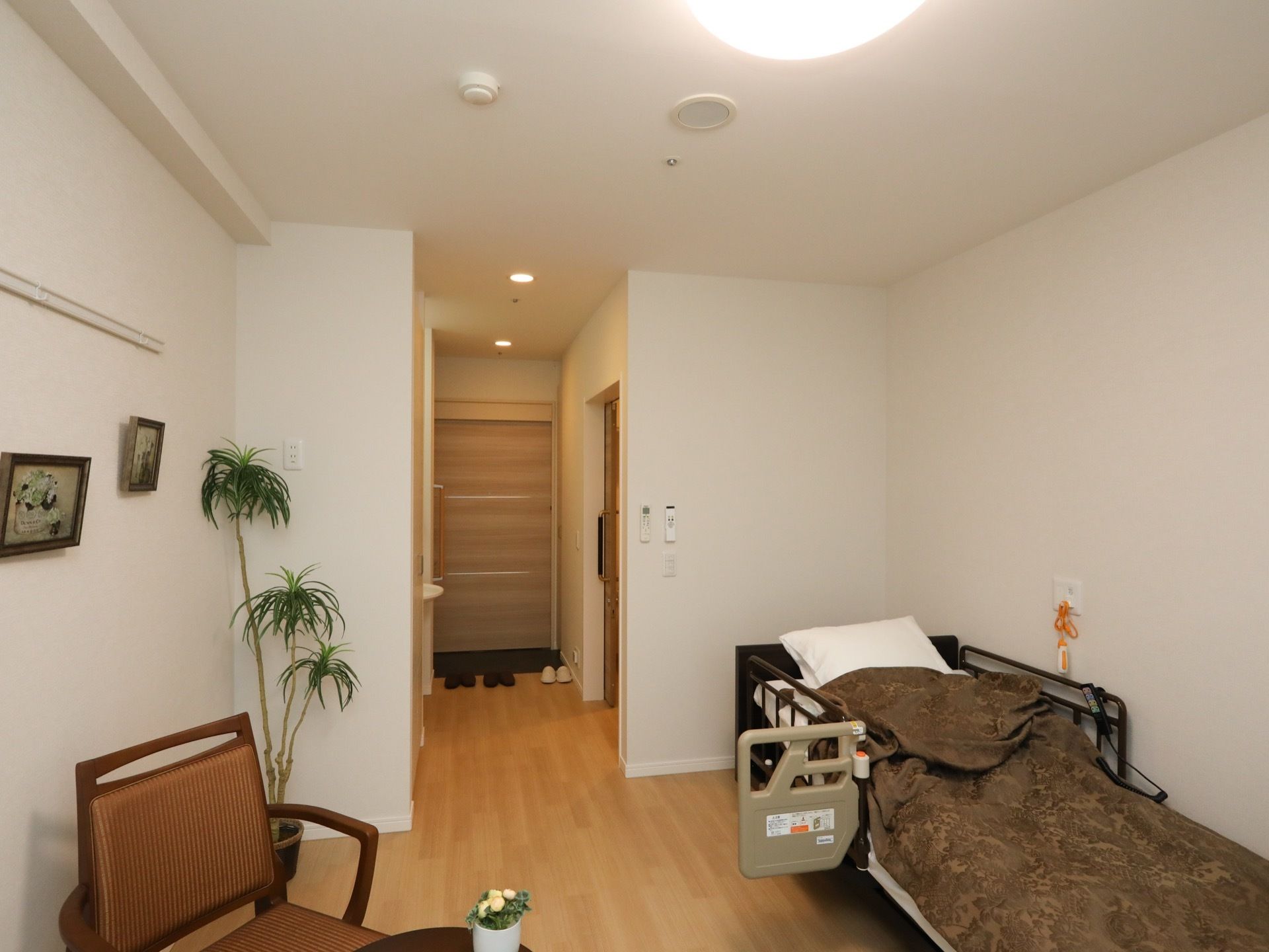 茶色い毛布が掛けられたリクライニングベッドが置いてある。部屋の角に大きな観葉植物が飾られ、壁に２つの額が取り付けられている。