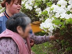 花を楽しむ様子