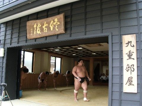 力士のいる九重部屋の様子。