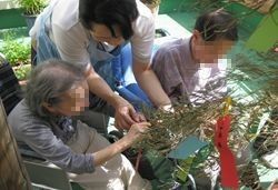 活動を楽しむ高齢者たち