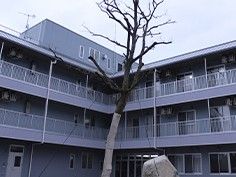 中庭のある建物外観