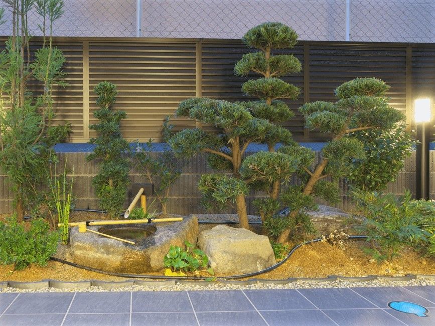松などが植えられた庭園スペース。ライトアップされ風情がある。