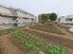 手入れされた野菜畑が広がる施設外観