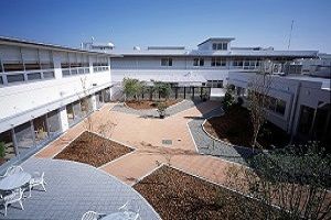 広々とした中庭の眺め