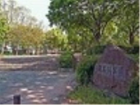 施設近くの公園では、季節の移り変わりを感じながら散策したり、地域の方々とのコミュニケーションの場所にも最適である。