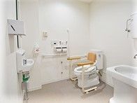 広いトイレには可動式の手すりと備え付けの手すりが付き、洗い場もある。