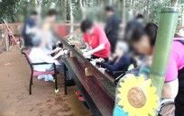 屋外での楽しい活動